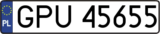 GPU45655