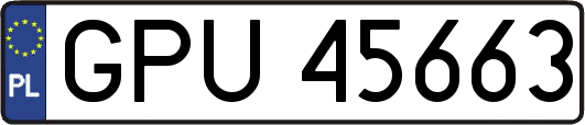 GPU45663