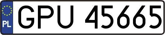 GPU45665
