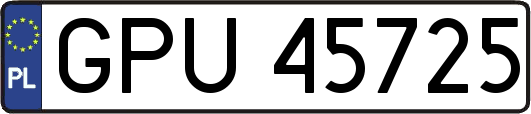 GPU45725