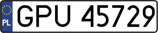 GPU45729