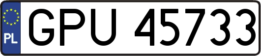 GPU45733