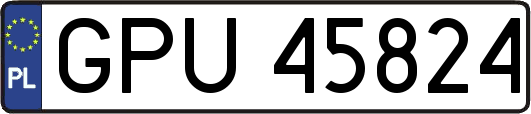 GPU45824