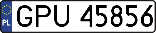 GPU45856