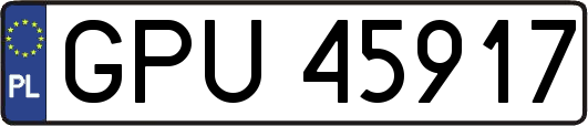 GPU45917