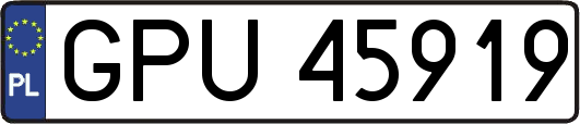GPU45919