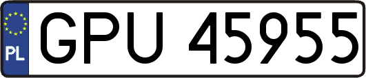 GPU45955