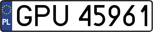GPU45961