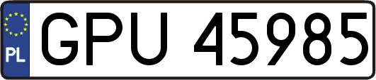 GPU45985