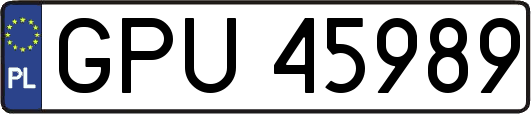 GPU45989