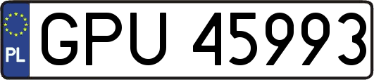 GPU45993