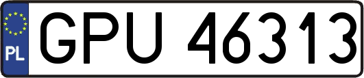 GPU46313