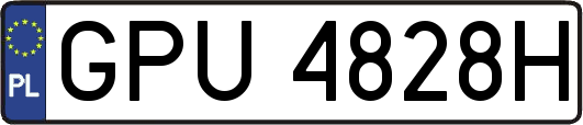 GPU4828H