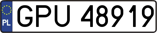 GPU48919