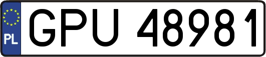 GPU48981