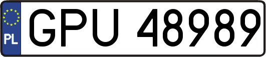 GPU48989