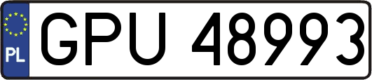 GPU48993