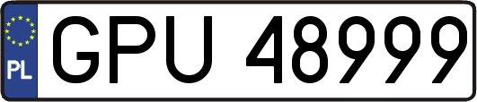 GPU48999