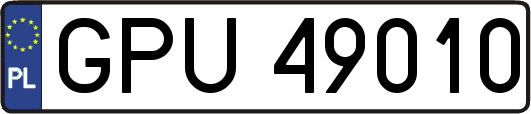 GPU49010