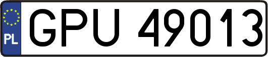 GPU49013