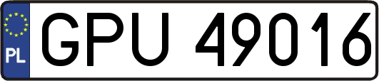 GPU49016