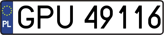 GPU49116