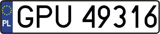 GPU49316