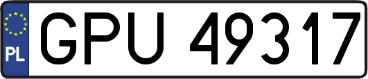GPU49317