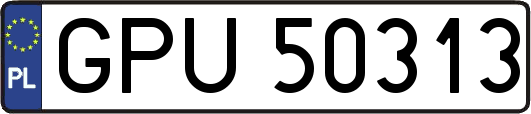 GPU50313