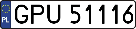 GPU51116