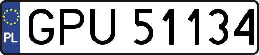 GPU51134