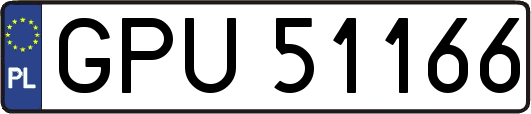 GPU51166