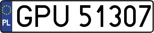 GPU51307