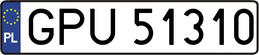 GPU51310