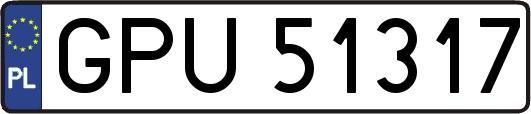 GPU51317