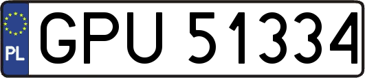 GPU51334