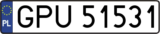GPU51531