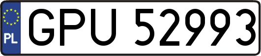 GPU52993