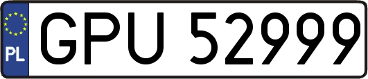 GPU52999