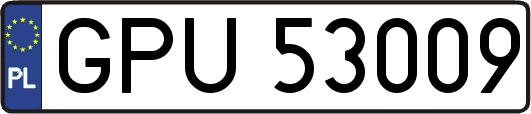GPU53009