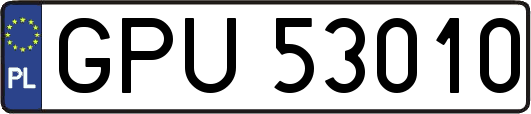 GPU53010