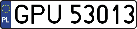 GPU53013
