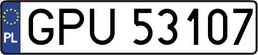 GPU53107
