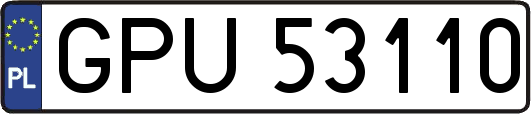 GPU53110