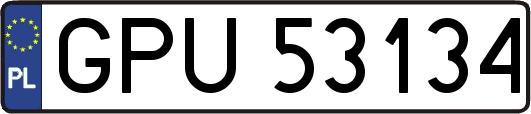 GPU53134
