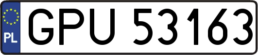 GPU53163