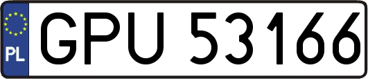 GPU53166