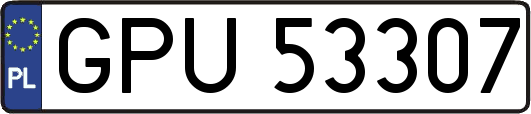 GPU53307