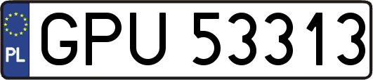 GPU53313