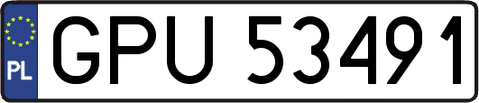 GPU53491